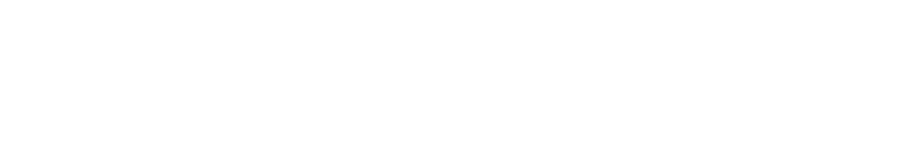 Snatch Stoppers white logo, transparent